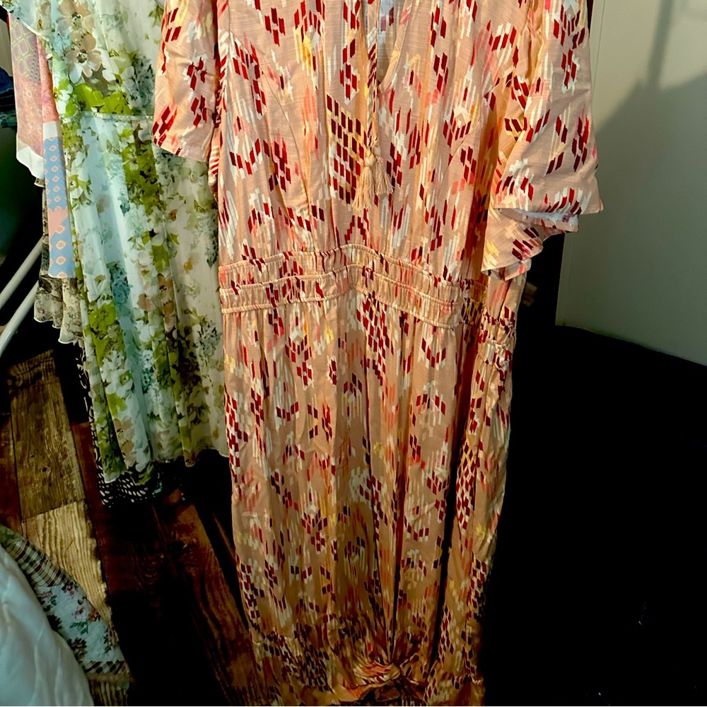 Plus size maxi dresses worn I time